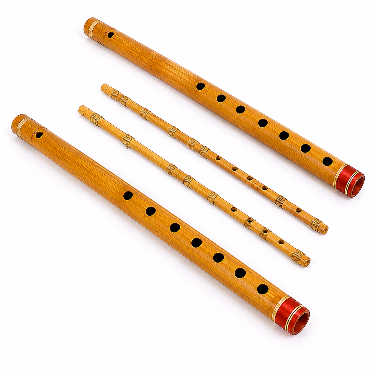 Rawanhatha String Instrument